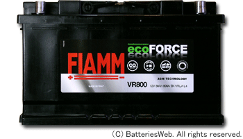 FIAMM ecoFORCE VR800 サイズ イメージ