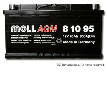 MOLL AGM 810-95 サイズ イメージ