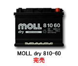 ԗp@MOLL dry 810-60